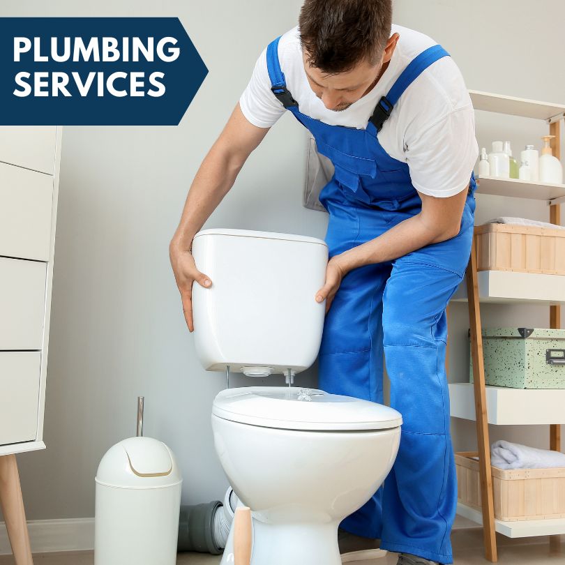 Plumbing Company in Beverly Hills, FL